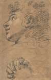 Profile Head of a Youth Looking to Upper Left, and Study of Clasped Hands