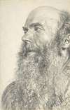 Head of a Bearded Man