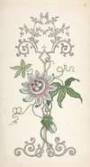 Design for Panel Decoration Centered on a Passion Flower