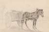 A Cart Drawn by a Brown Horse Near a Lamp Pole