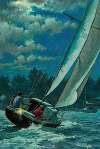 Moonlight Sail