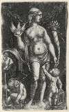 Venus between two cupids
