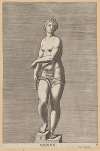 Venus