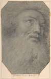 Head of a Bearded Man, Looking up to the Right