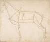 Measured Drawing of a Horse Facing Left