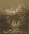 A Swan Among the Reeds, by Moonlight