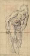 A Standing Male Nude