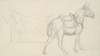 Sketch of a Horse