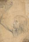 Youth with Right Arm Raised in a Shoulder-Length Portrayal (preparatory study for St. Sebastian)