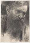 Head of a Bearded Man in Half-Profile