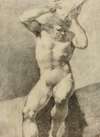 Nude Male Figure