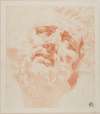Study for Head of Laocoon