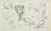 Sketches of Swine and an Ox