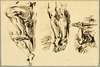 Study of Arms and Legs of Christ Crucified