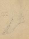Study for the Judgment of Jupiter (Apollo, right foot)