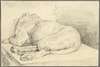 Reclining Lion, From Back