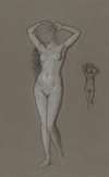 Study for the Figure of Venus