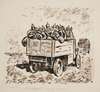 Transport piechoty pruskiej samochodami ciężarowymi
