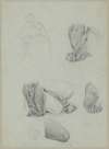 Sketch to the Portrait of Jadwiga Łuszczewska – Deotyma and Studies of Fragments of a Kneeling Figure