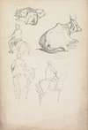 Studies of Oxen and Equestrians