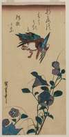 Kingfisher and Chinese Bellflowers