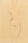 Standing female nude seen from the front