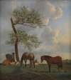 Pasture with Horses and Cattle