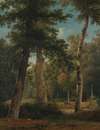 A forest in Fontainebleau