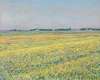The plain of Gennevilliers, yellow fields