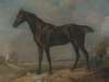 Golding Constable’s Black Riding-Horse