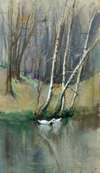 Untitled (Wood Scene with Birch Trees and Ducks)