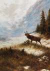 Bellowing Stag in a Winter Landscape