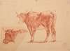 Études de vaches