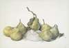 Green Pears