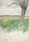 Study of a field and tree