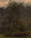 Study of Birches in Romsdal