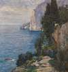 Felsenküste auf Capri