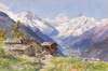 Die Alpe Barneuza (Wallis)