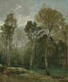 View Of A Copse