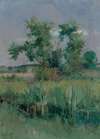 Impressionist View of Trees and a Stream