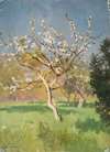 Apple-Tree in Blossom