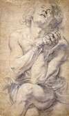 Seated Male Youth (Study for Daniel)