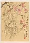 Peach Blossoms and Willows