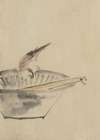 A bird perched on the edge of a bowl, with head cocked, looking at a utensil in the bowl
