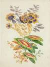 Fantastic flowers, from New Suite of Notebooks of Ideal Flowers for the Use of Designers and Painters