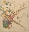 Pair of Chinese pheasants and a branch of yamabuki flowers