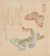 The Painting Manual of Flock of Butterflies (Gunchō Gafu)