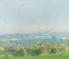 View of Vienna from Grinzing
