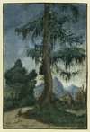 Landscape with spruce