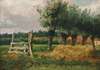 Landscape with willow trees